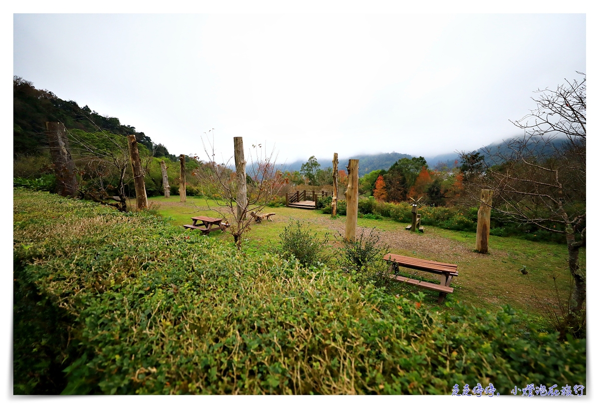 棲蘭山莊｜太平山、明池、北橫等住宿區域最佳美景，蔣公行館、溫泉、賞櫻賞梅一次包～