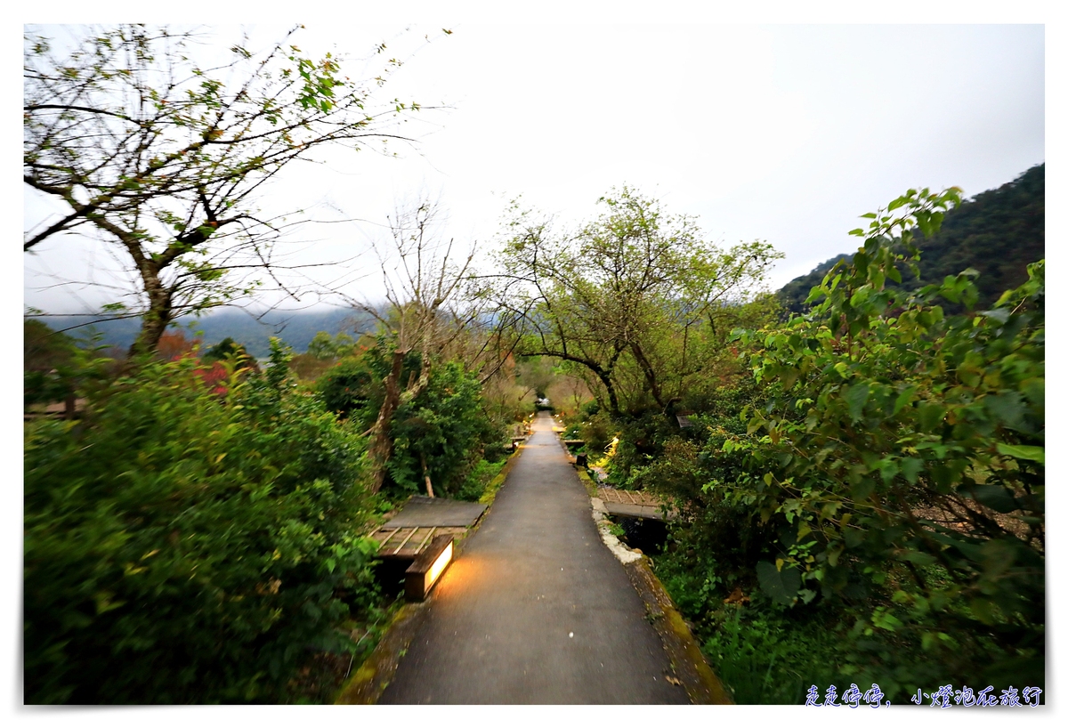 棲蘭山莊｜太平山、明池、北橫等住宿區域最佳美景，蔣公行館、溫泉、賞櫻賞梅一次包～