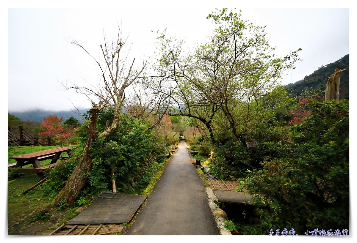 棲蘭山莊｜太平山、明池、北橫等住宿區域最佳美景，蔣公行館、溫泉、賞櫻賞梅一次包～