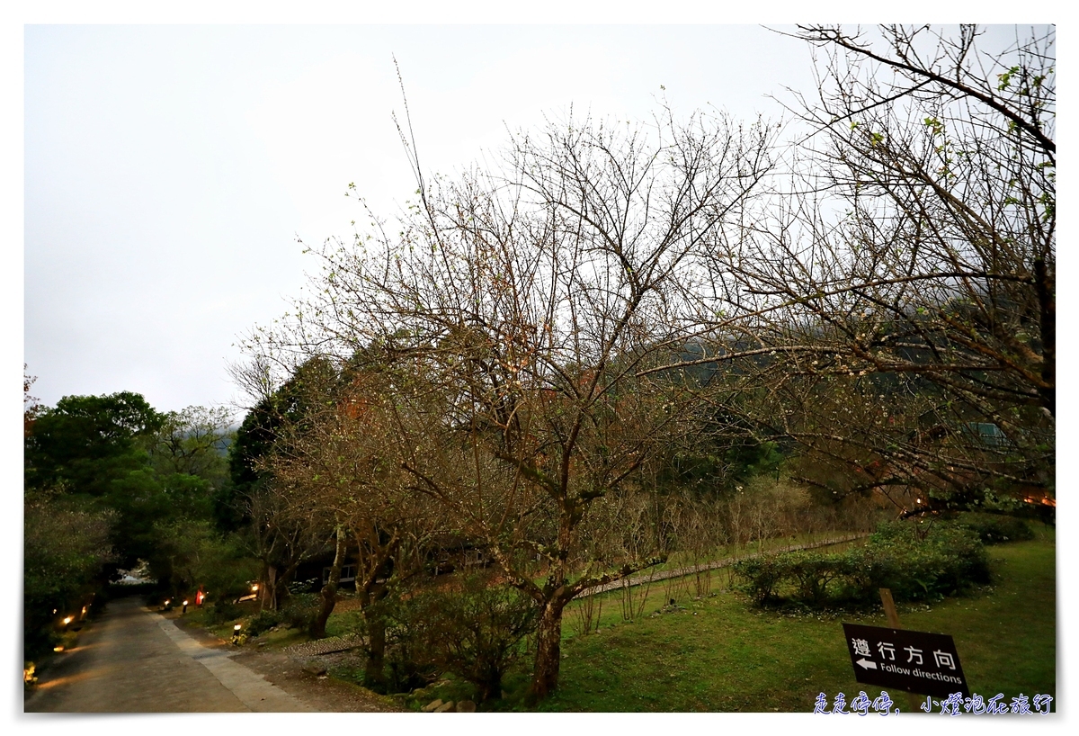 棲蘭山莊｜太平山、明池、北橫等住宿區域最佳美景，蔣公行館、溫泉、賞櫻賞梅一次包～