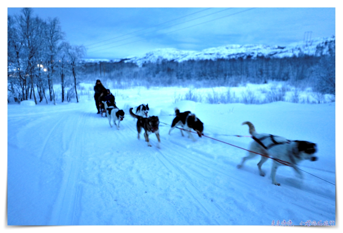 挪威帝王蟹吃到飽行程｜Snowhotel Kirkenes King Crab Safari Winter，來一場雪上，來一場雪上抓蟹、大口吃蟹～