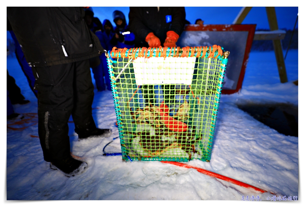 挪威帝王蟹吃到飽行程｜Snowhotel Kirkenes King Crab Safari Winter，來一場雪上，來一場雪上抓蟹、大口吃蟹～