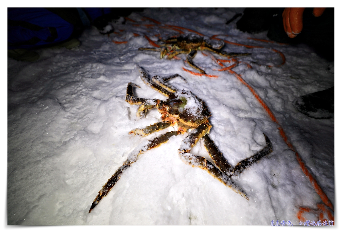 挪威帝王蟹吃到飽行程｜Snowhotel Kirkenes King Crab Safari Winter，來一場雪上，來一場雪上抓蟹、大口吃蟹～