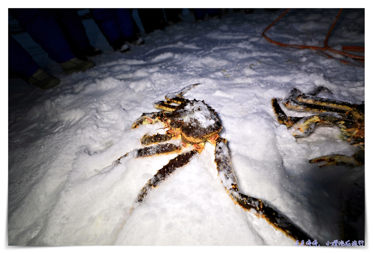 挪威帝王蟹吃到飽行程｜Snowhotel Kirkenes King Crab Safari Winter，來一場雪上，來一場雪上抓蟹、大口吃蟹～