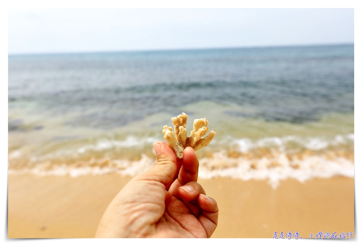 望安絕美沙灘｜八色海長瀨仔沙灘，綠蠵龜產卵保護區，不輸沖繩宮古島的純淨美好沙灘