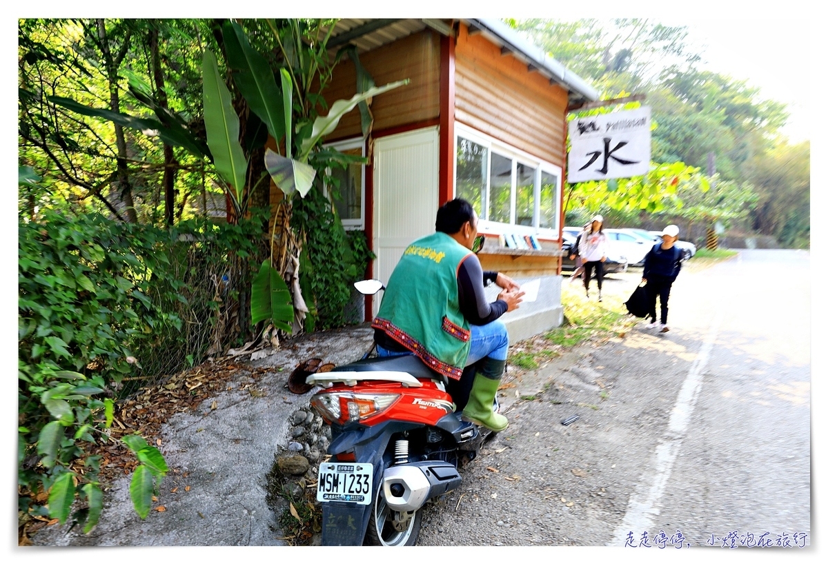 鸞山森林文化博物館，深入布農族鸞山部落｜探訪阿凡達的原鄉、會走路的樹、預約方式、交通、費用、行前須知、一場讓人感動的守護使命