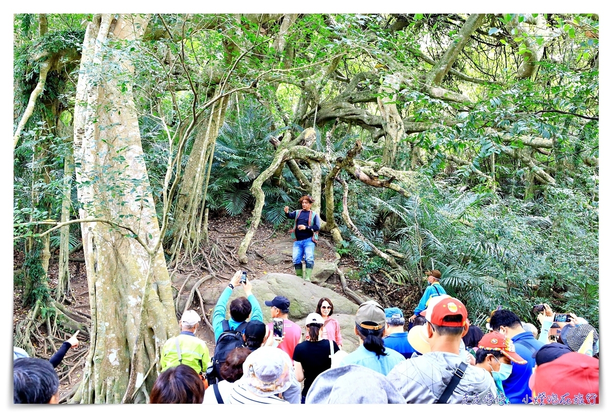 鸞山森林文化博物館，深入布農族鸞山部落｜探訪阿凡達的原鄉、會走路的樹、預約方式、交通、費用、行前須知、一場讓人感動的守護使命