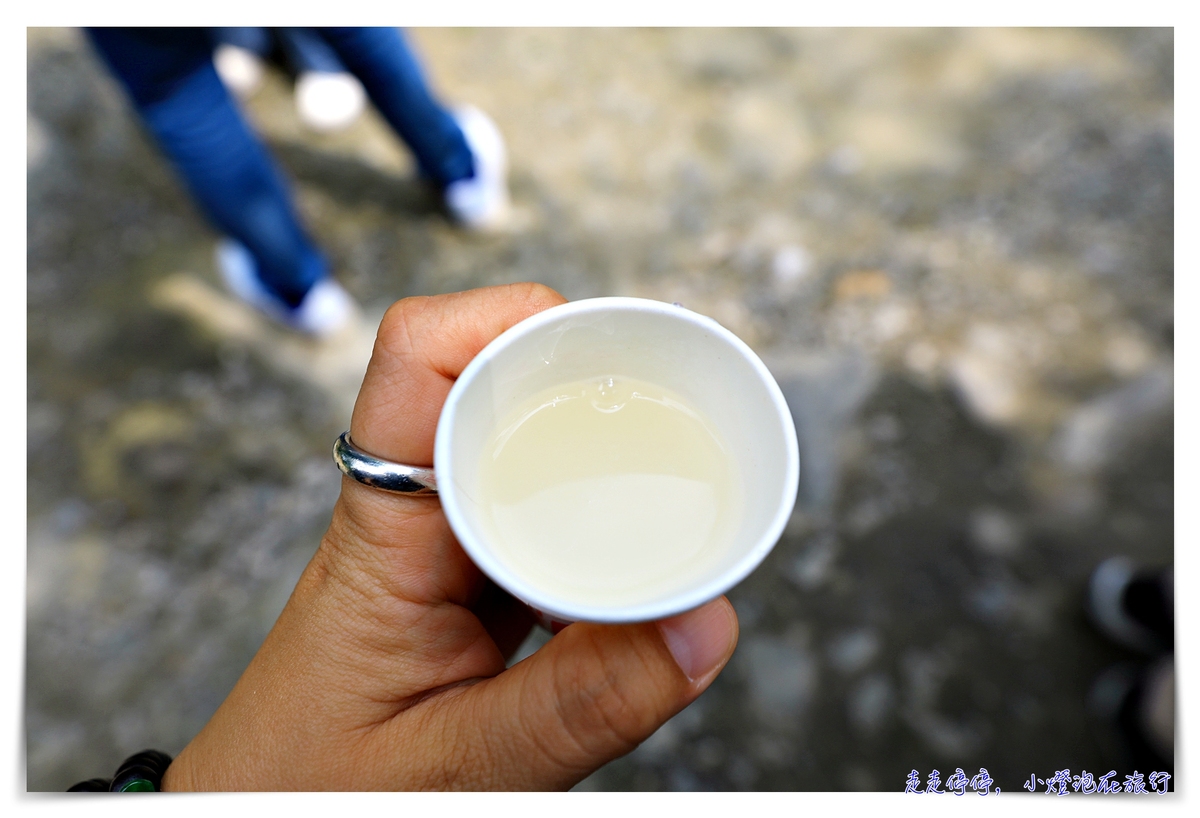 鸞山森林文化博物館，深入布農族鸞山部落｜探訪阿凡達的原鄉、會走路的樹、預約方式、交通、費用、行前須知、一場讓人感動的守護使命