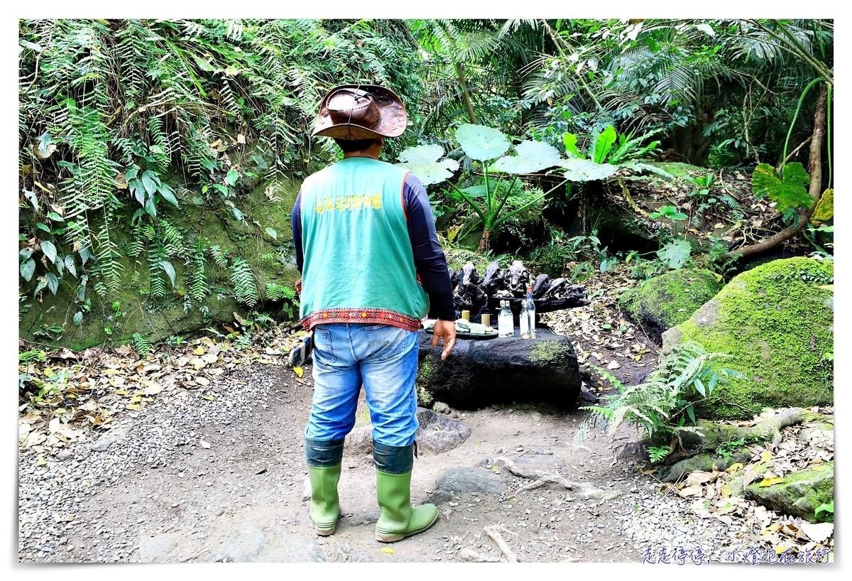 鸞山森林文化博物館，深入布農族鸞山部落｜探訪阿凡達的原鄉、會走路的樹、預約方式、交通、費用、行前須知、一場讓人感動的守護使命