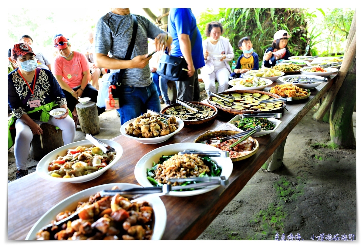 鸞山森林文化博物館，深入布農族鸞山部落｜探訪阿凡達的原鄉、會走路的樹、預約方式、交通、費用、行前須知、一場讓人感動的守護使命