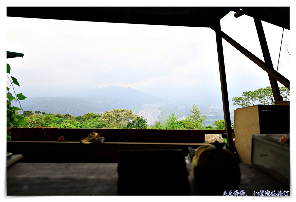 鸞山森林文化博物館，深入布農族鸞山部落｜探訪阿凡達的原鄉、會走路的樹、預約方式、交通、費用、行前須知、一場讓人感動的守護使命