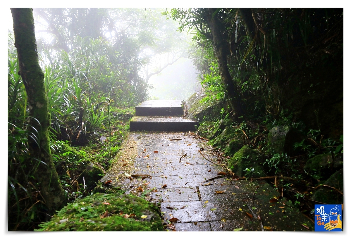 龜山島牛奶海｜世界及地理奇景，401高地步道、牛奶海一次夢想都完成