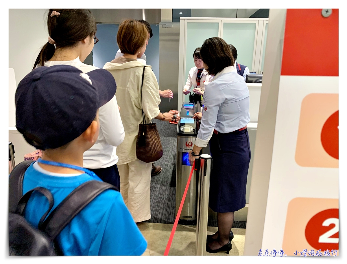 東京飛札幌｜日本航空JAL國內線班機搭乘，國際線轉國內線，成田機場飛札幌新千歲機場