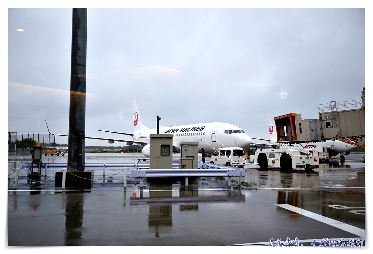 東京飛札幌｜日本航空JAL國內線班機搭乘，國際線轉國內線，成田機場飛札幌新千歲機場