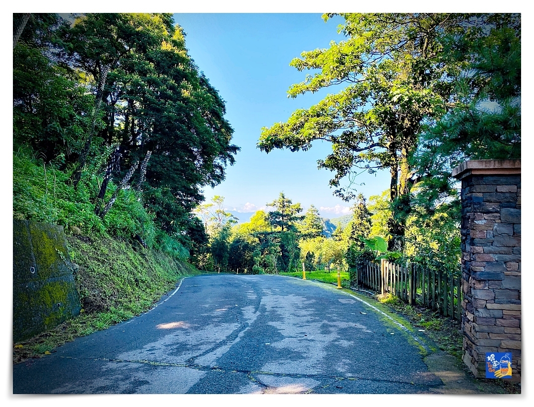 雲洞山莊。沁澐森林｜一次看雲海、遠眺苗栗、台中、可健行可舒心放風的山林住宿