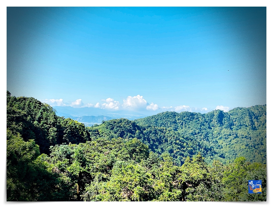 雲洞山莊。沁澐森林｜一次看雲海、遠眺苗栗、台中、可健行可舒心放風的山林住宿