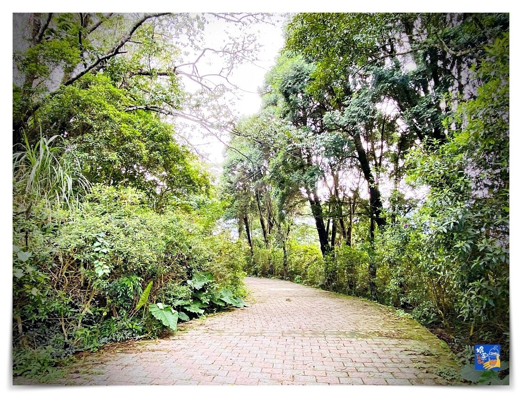 雲洞山莊。沁澐森林｜一次看雲海、遠眺苗栗、台中、可健行可舒心放風的山林住宿