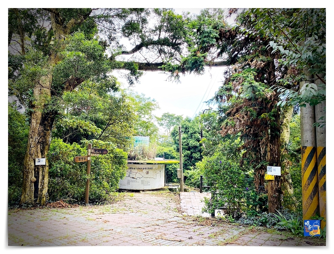 雲洞山莊。沁澐森林｜一次看雲海、遠眺苗栗、台中、可健行可舒心放風的山林住宿