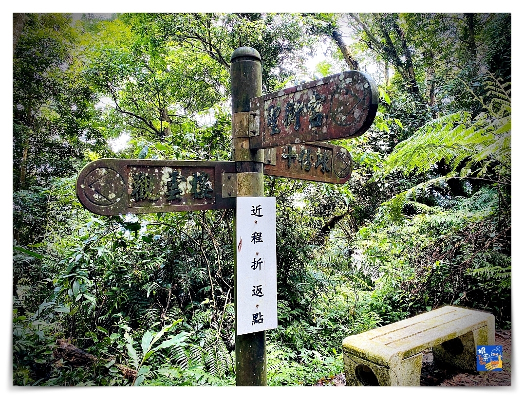 雲洞山莊。沁澐森林｜一次看雲海、遠眺苗栗、台中、可健行可舒心放風的山林住宿