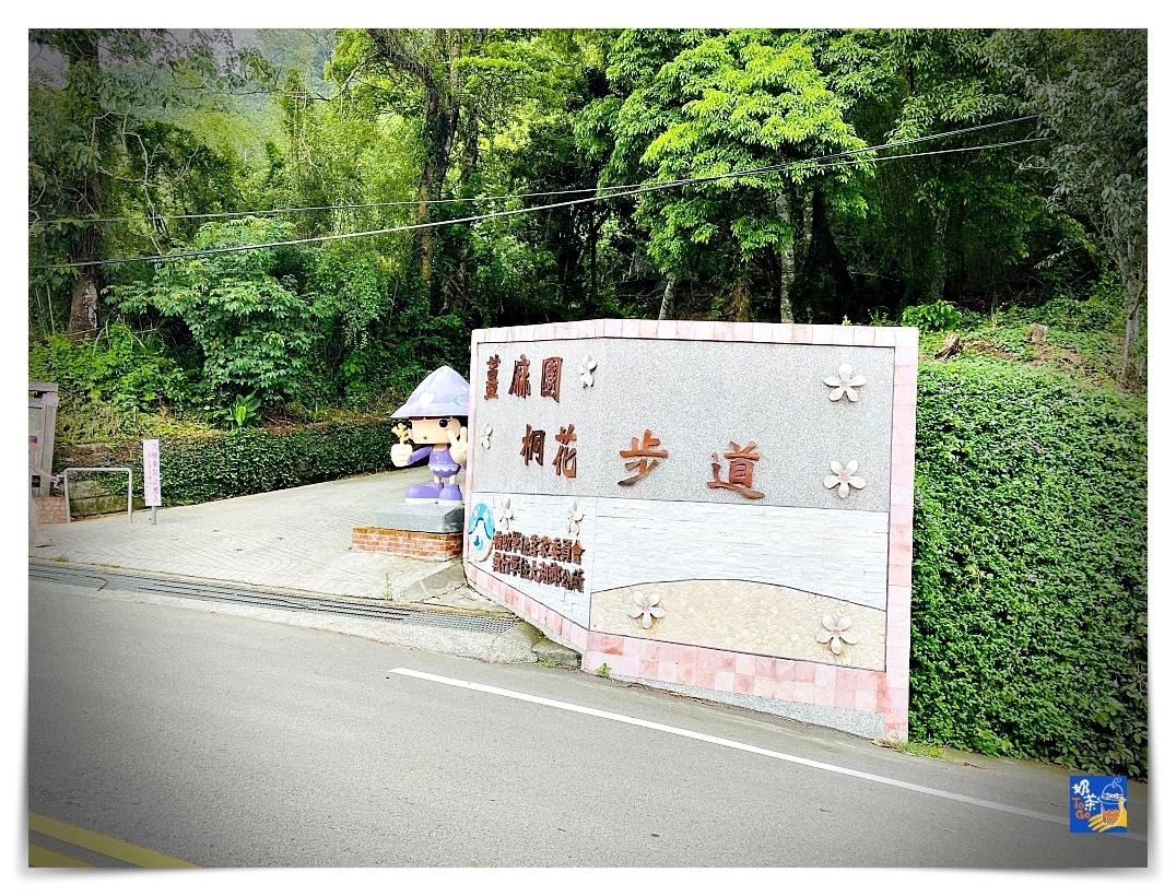 雲洞山莊。沁澐森林｜一次看雲海、遠眺苗栗、台中、可健行可舒心放風的山林住宿