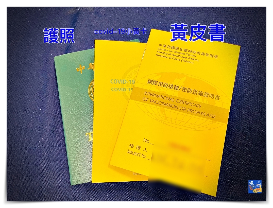 台灣人民出國，covid-19疫苗接種證明方式有三種，請依照目的地國家要求選擇