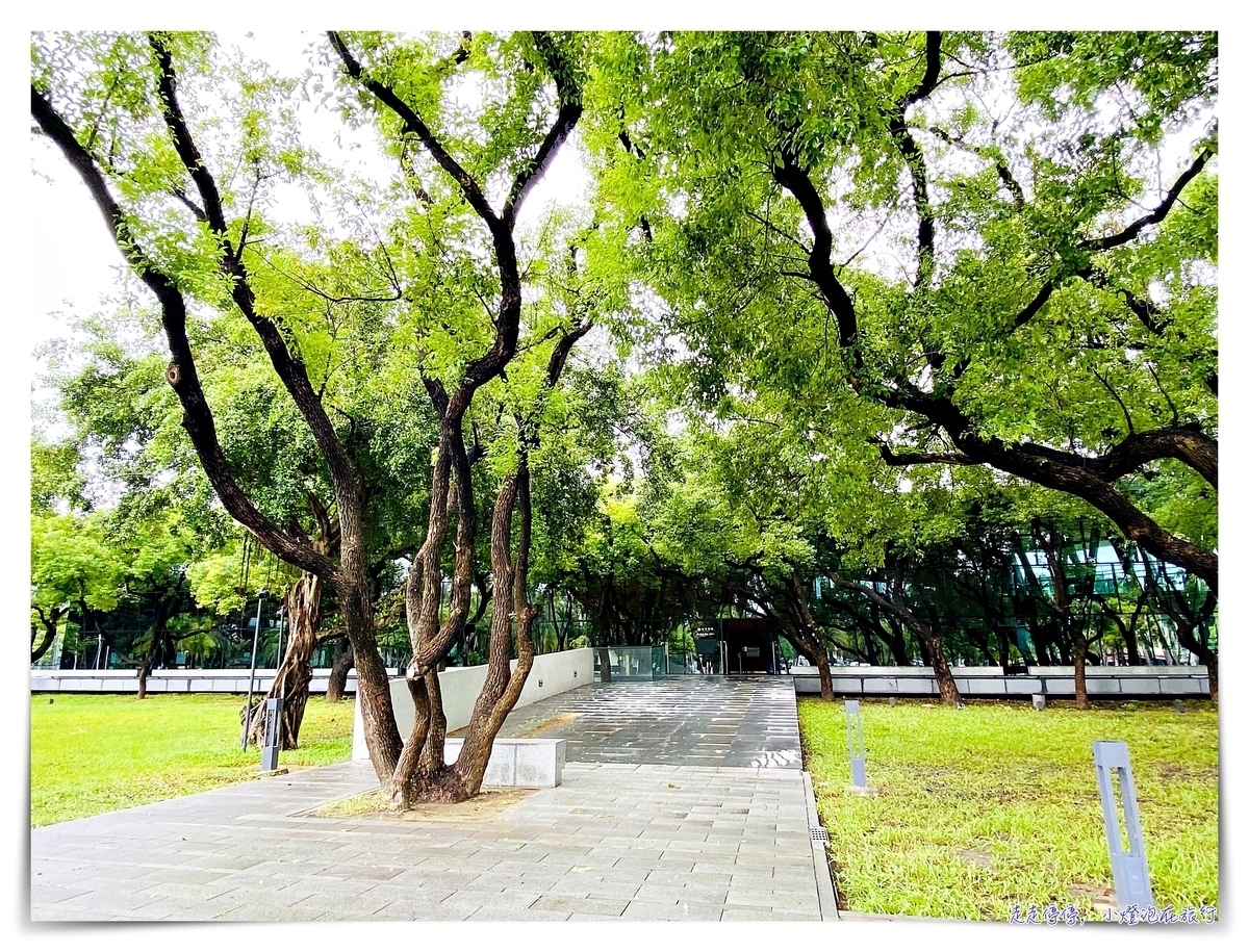 屏東總圖書館｜南台灣最美森林系圖書館，每一個仰頭，都在綠色的呼吸中