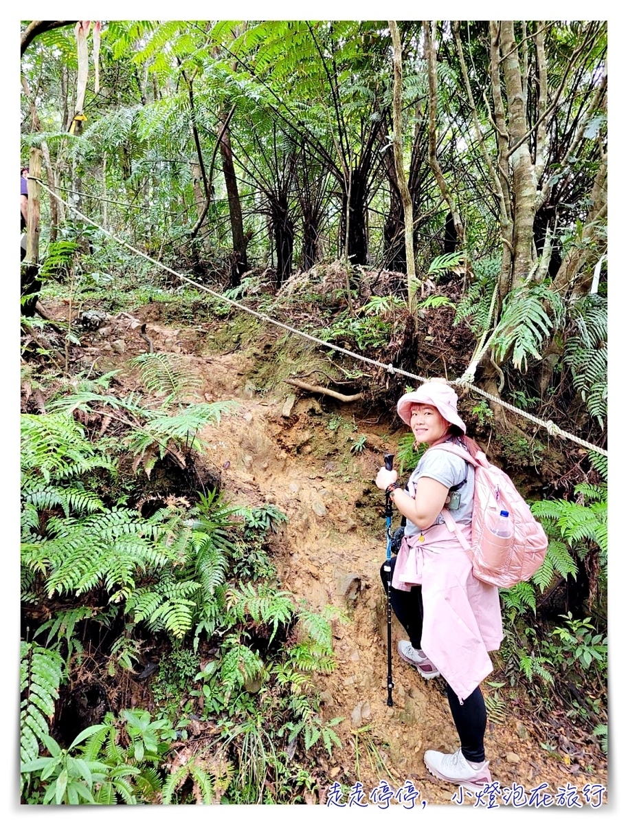 淡蘭古道｜消失的百年古道，四堵古道，值得作為歷史人文山林教育的第一條古道