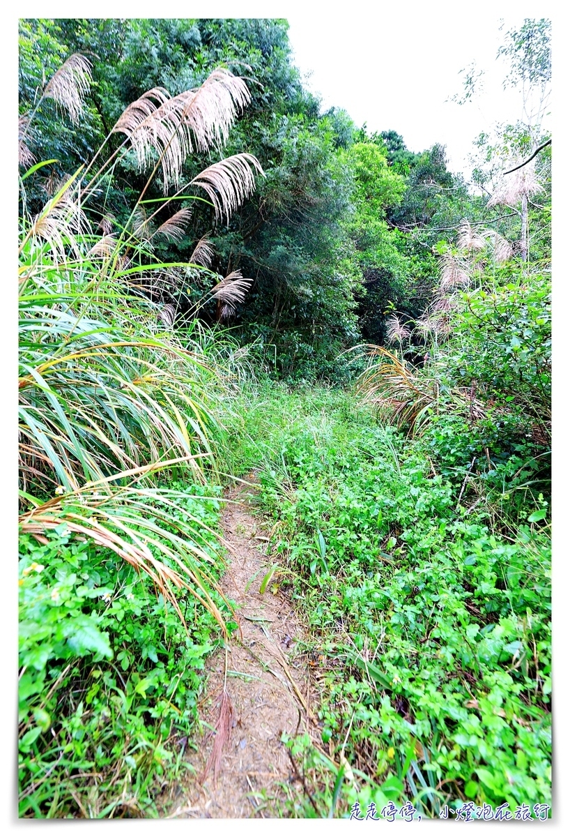 淡蘭古道｜消失的百年古道，四堵古道，值得作為歷史人文山林教育的第一條古道