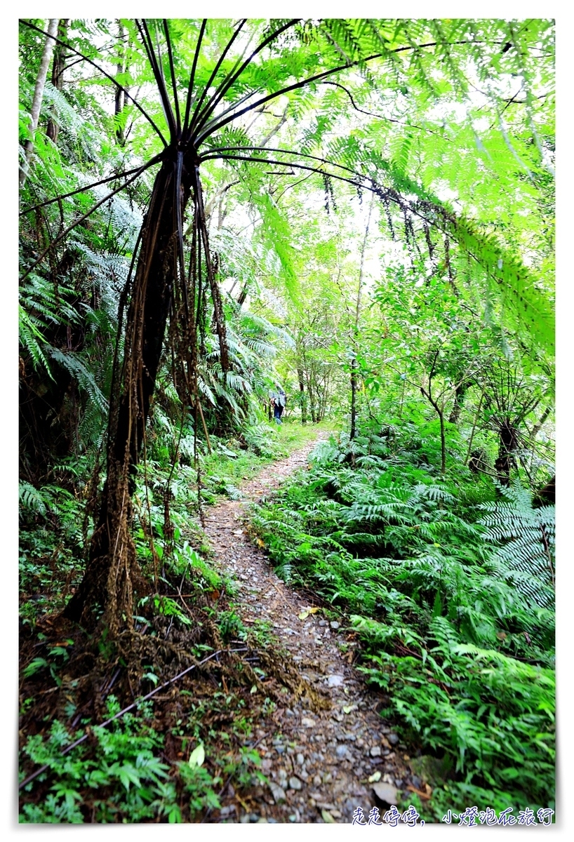 淡蘭古道｜消失的百年古道，四堵古道，值得作為歷史人文山林教育的第一條古道