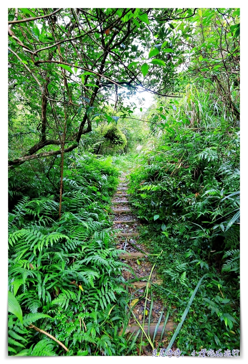 淡蘭古道｜消失的百年古道，四堵古道，值得作為歷史人文山林教育的第一條古道