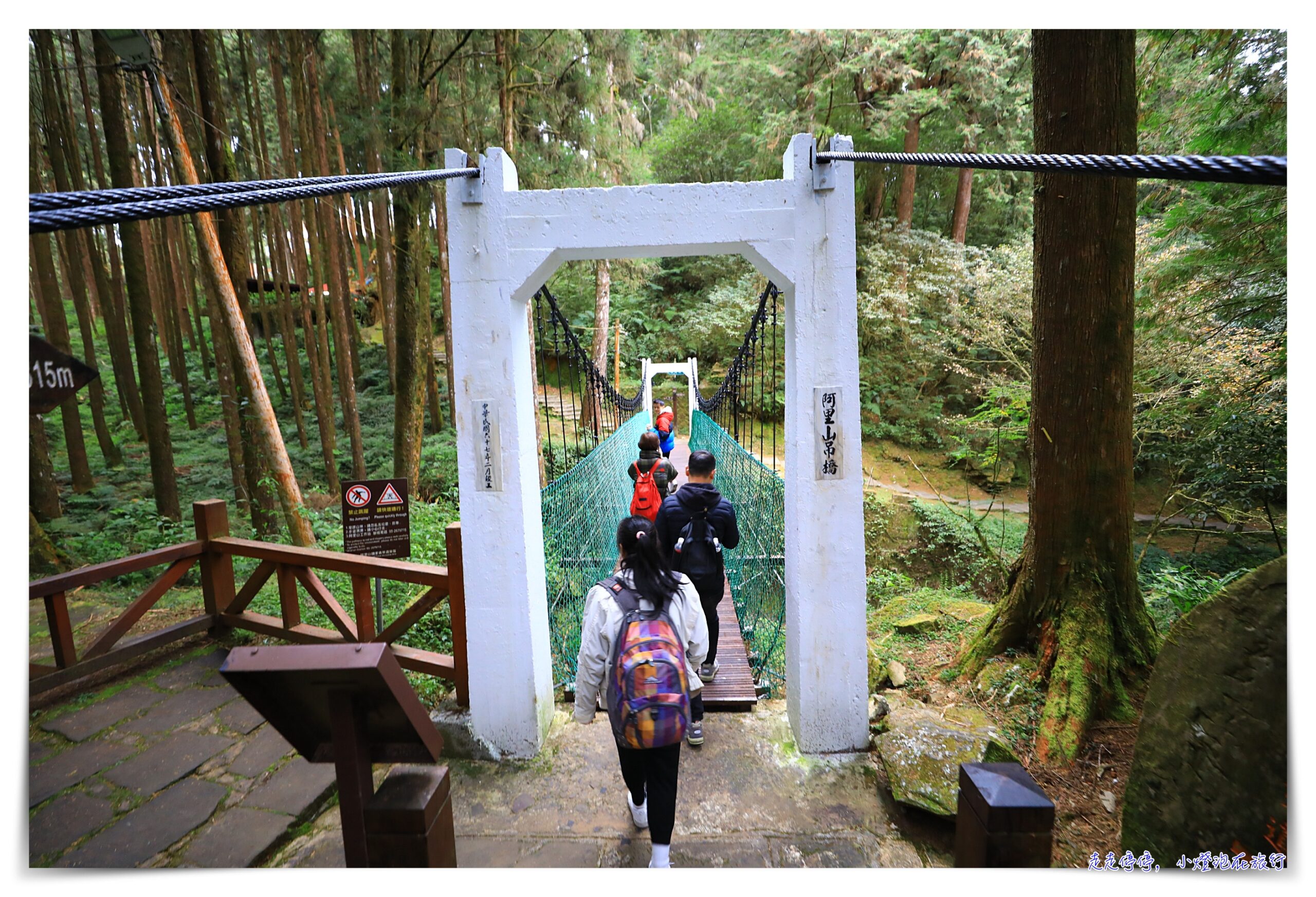 阿里山日出高鐵假期｜搭高鐵、看日出、移動方便輕鬆愉快、行程豐富免自己安排