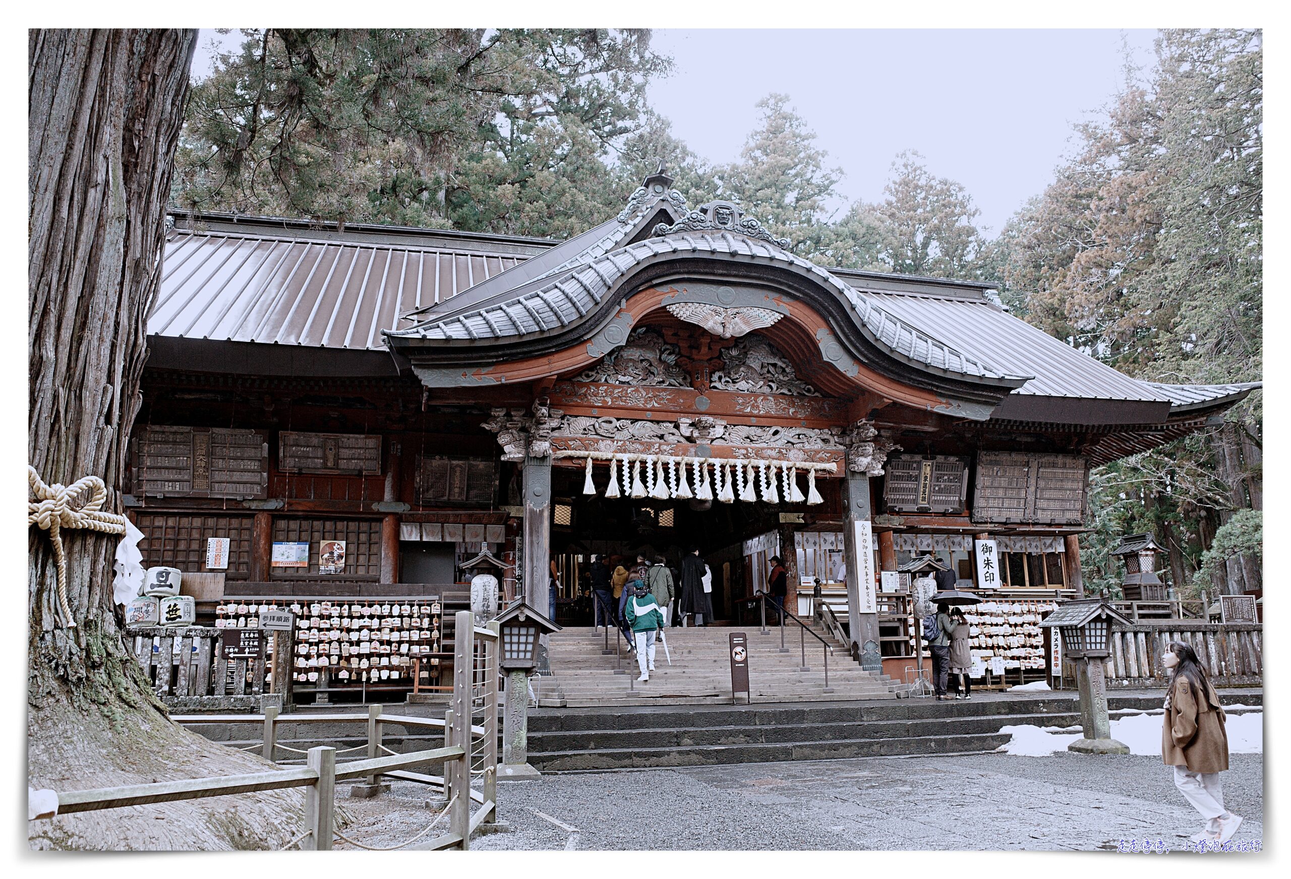 富士山一日遊｜富士山五合目＆忍野八海&富士天上山全景纜車｜東京新宿出發