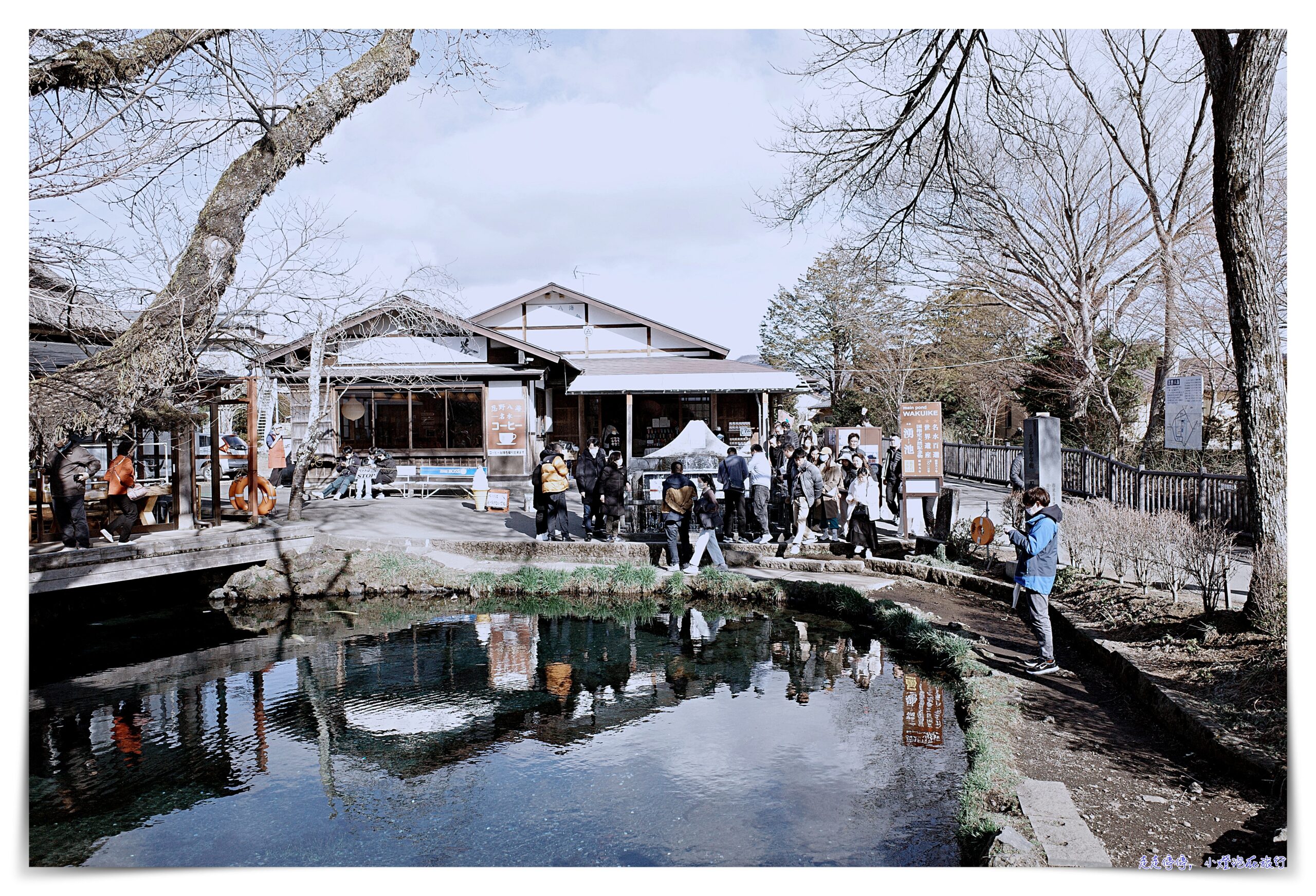 東京富士山一日遊｜新倉山淺間公園－富士吉田「本町街」－西湖療癒之鄉根場－忍野八海｜新宿出發