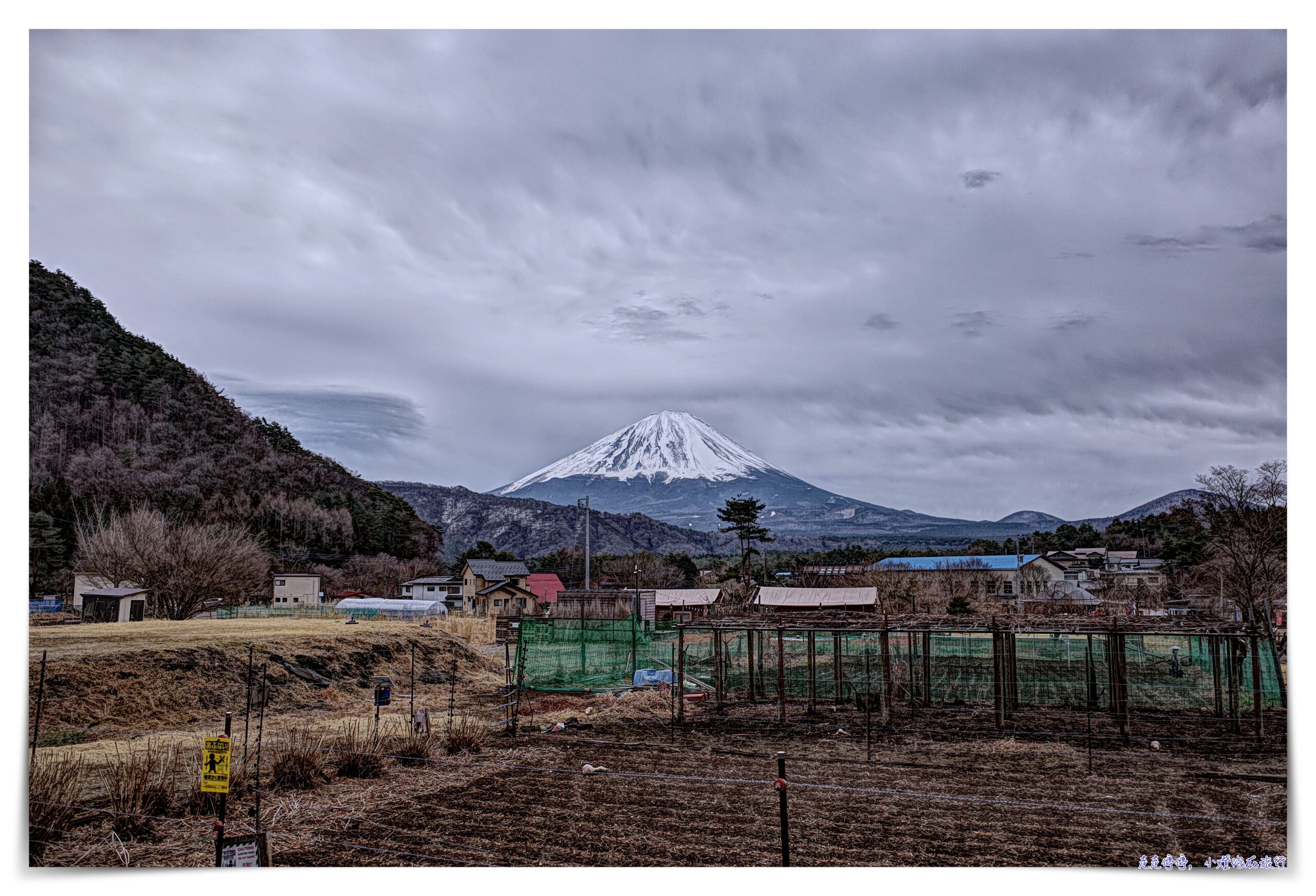 東京富士山一日遊｜新倉山淺間公園－富士吉田「本町街」－西湖療癒之鄉根場－忍野八海｜新宿出發