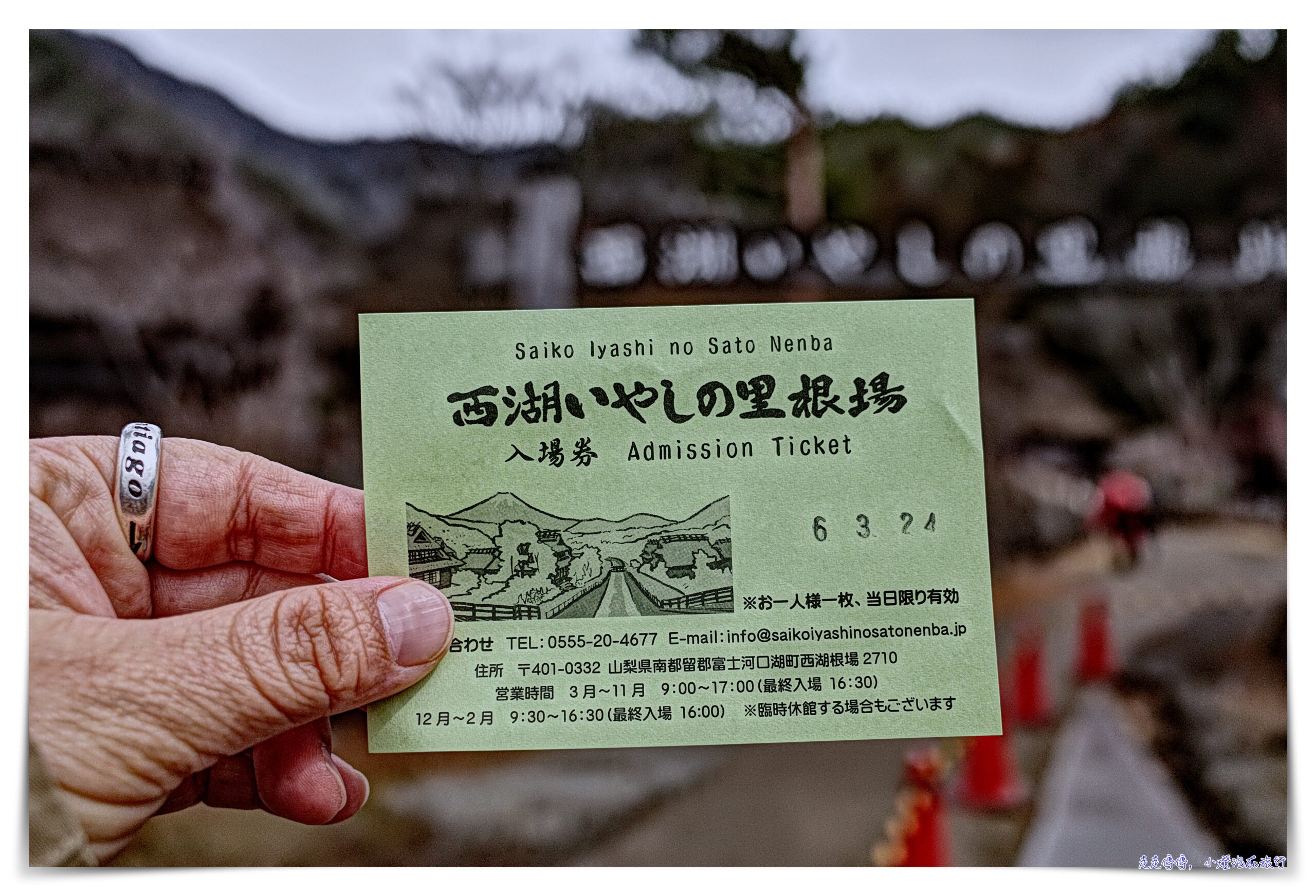 東京富士山一日遊｜新倉山淺間公園－富士吉田「本町街」－西湖療癒之鄉根場－忍野八海｜新宿出發