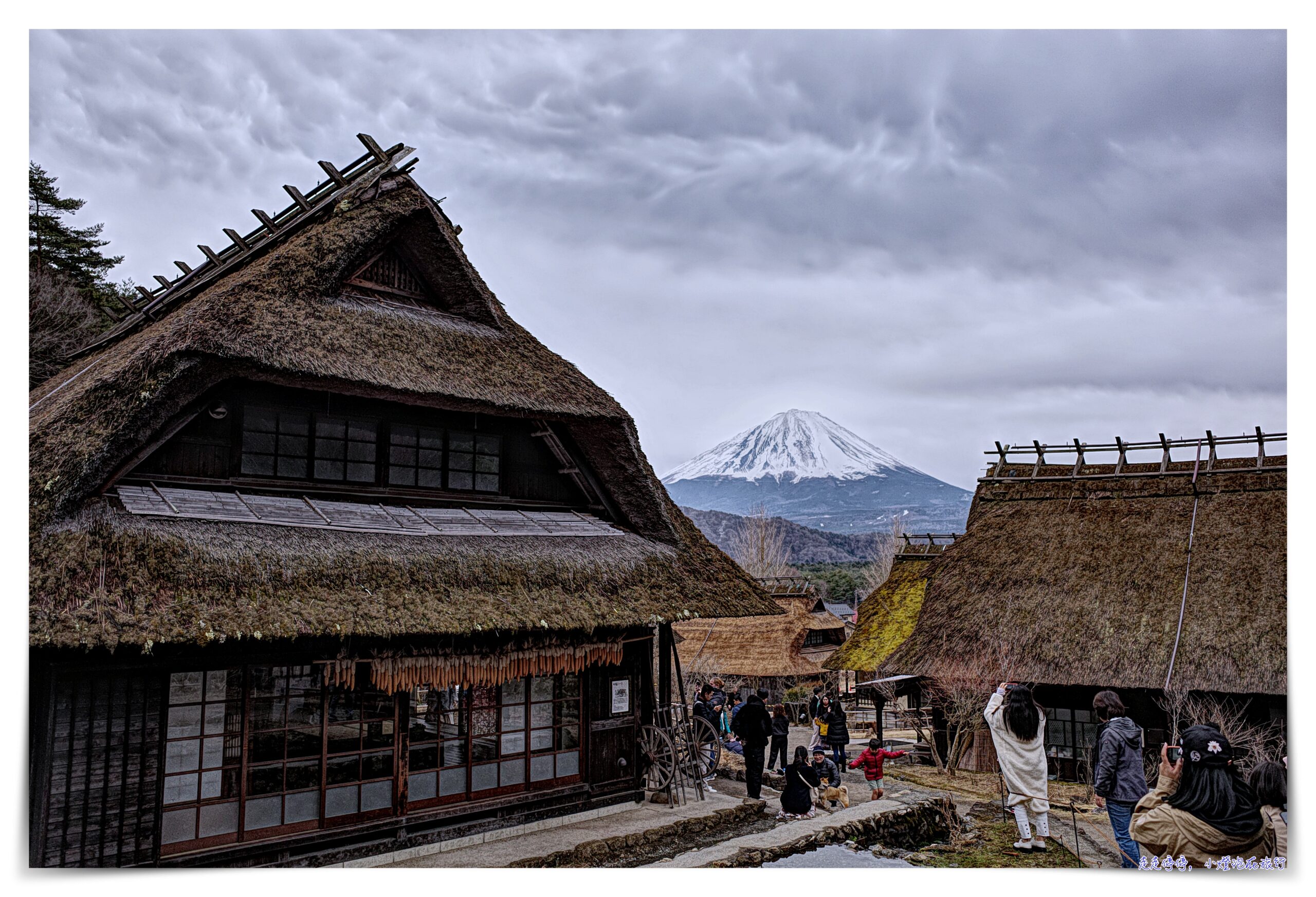 東京富士山一日遊｜新倉山淺間公園－富士吉田「本町街」－西湖療癒之鄉根場－忍野八海｜新宿出發