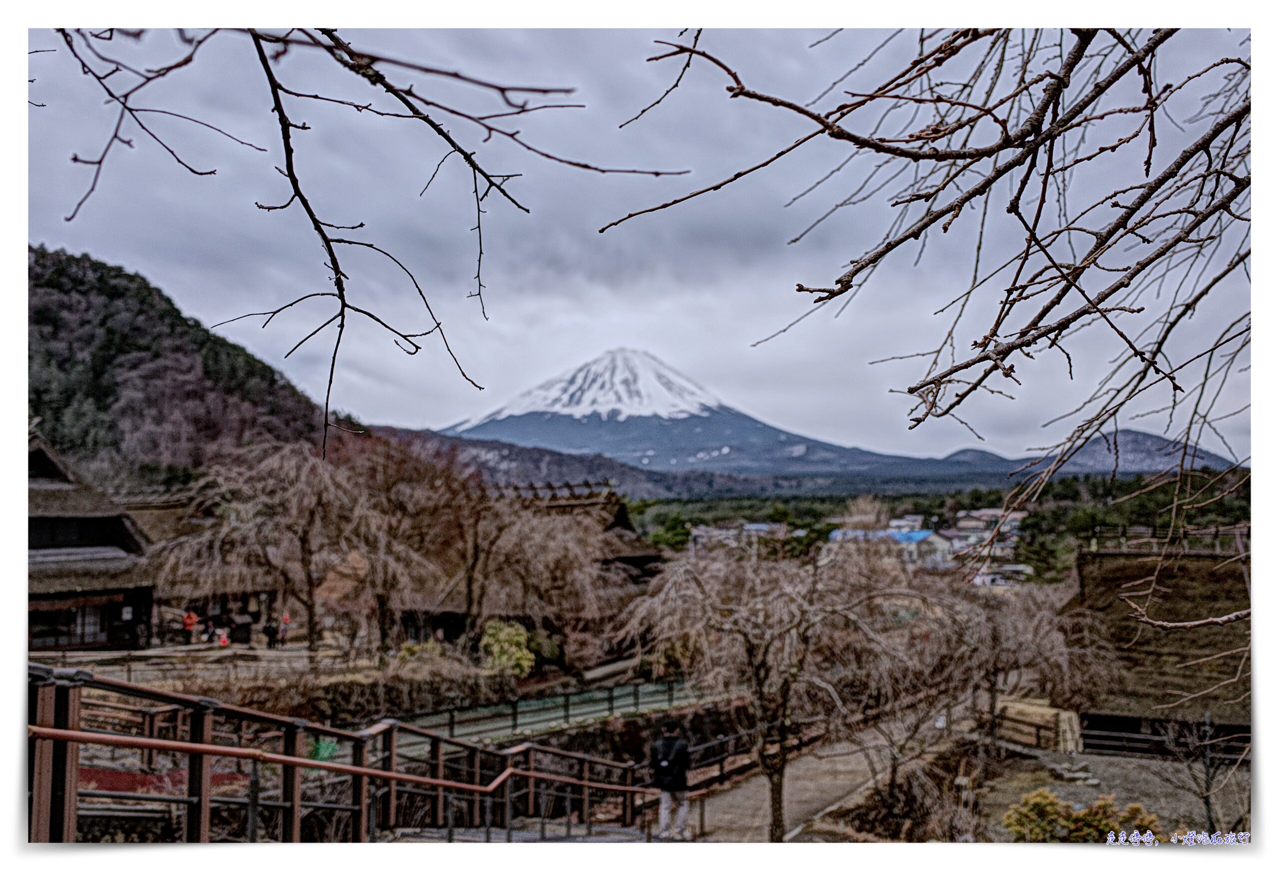 東京富士山一日遊｜新倉山淺間公園－富士吉田「本町街」－西湖療癒之鄉根場－忍野八海｜新宿出發