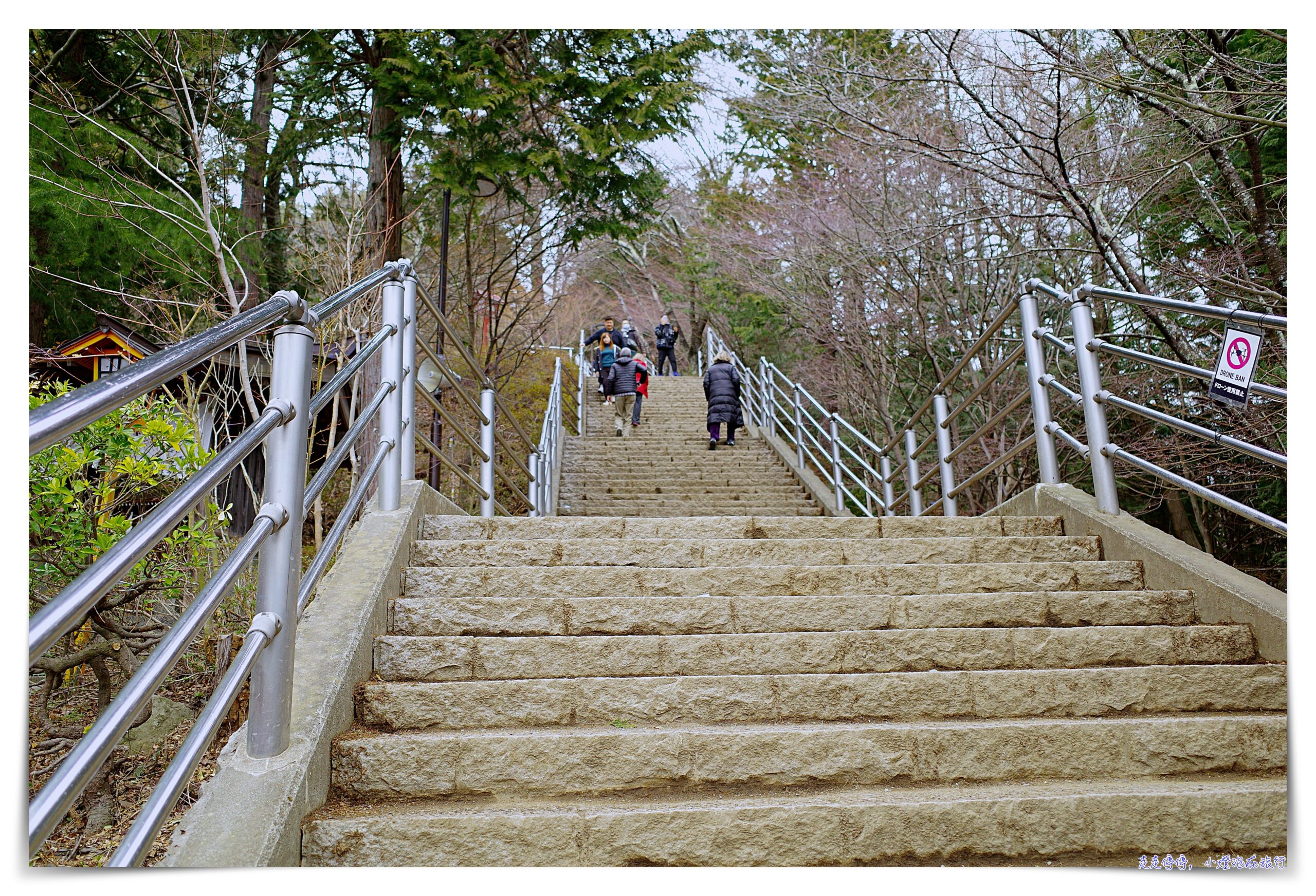 東京富士山一日遊｜新倉山淺間公園－富士吉田「本町街」－西湖療癒之鄉根場－忍野八海｜新宿出發