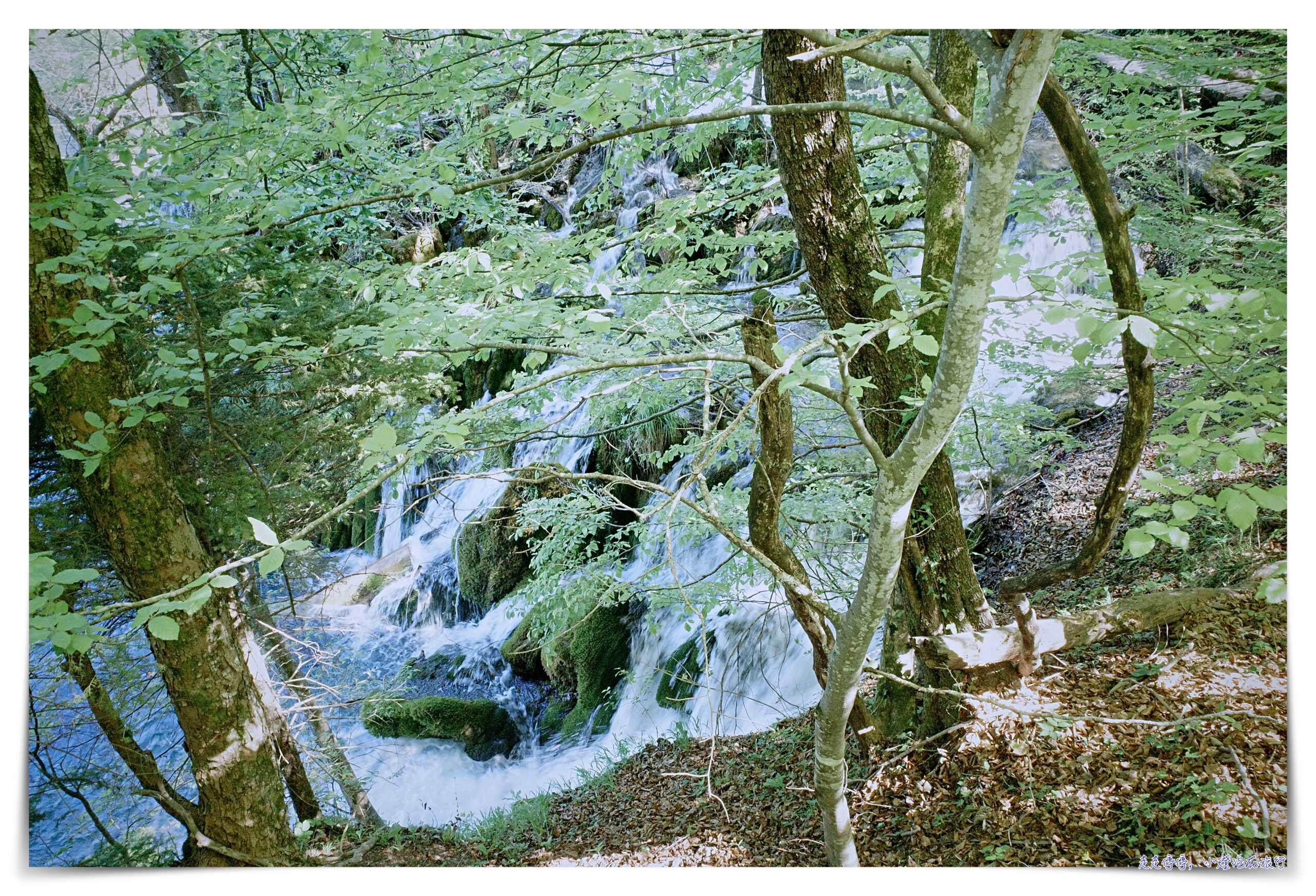 亞得里亞海Day20：十六湖國家公園Plitvička jezera（普利特維策國家公園）、上湖半日、十六湖住宿Lyra Hotel Plitvice