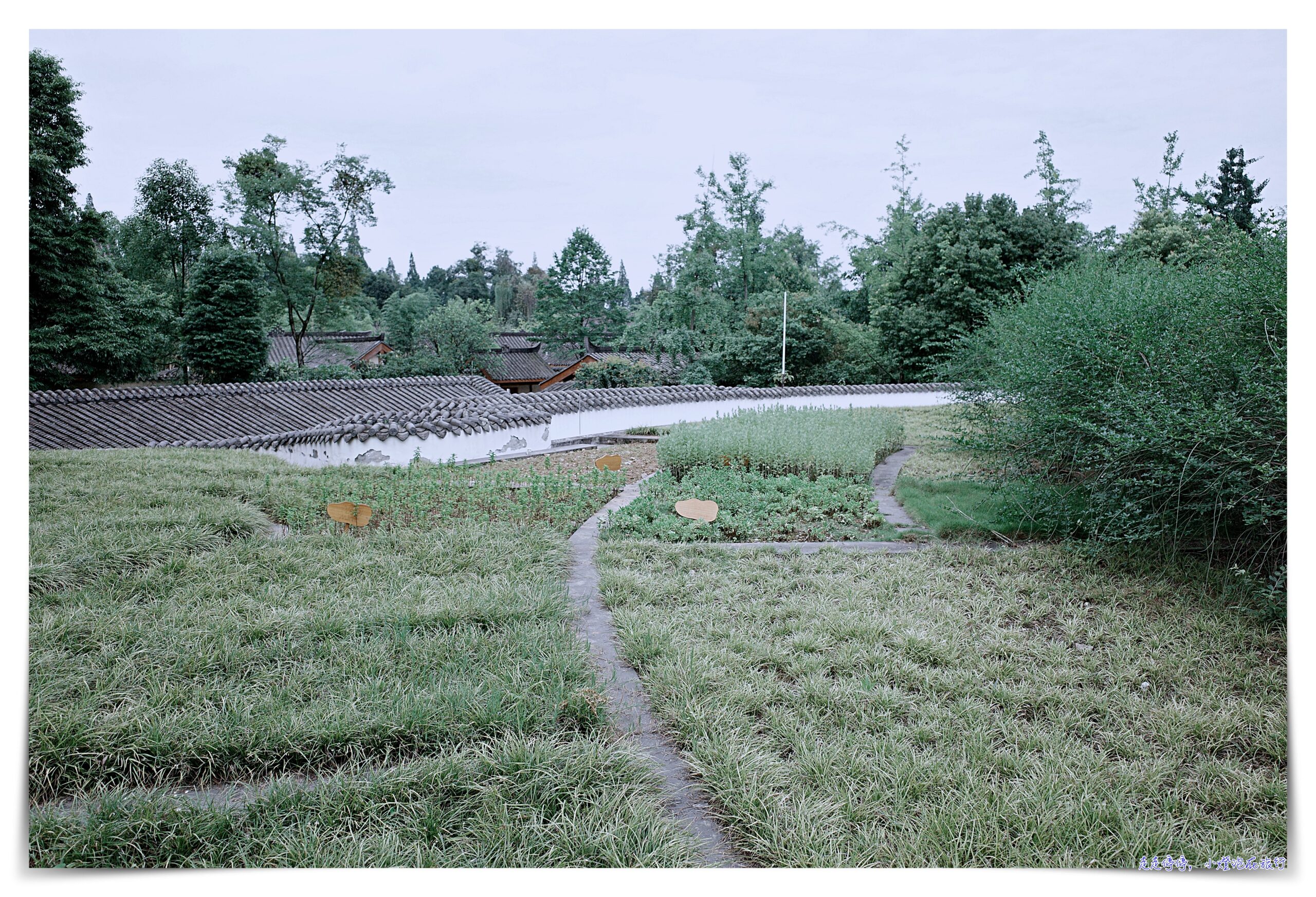 六善酒店｜成都青城山，雙世界文化遺產、適合靜心的健康幽靜