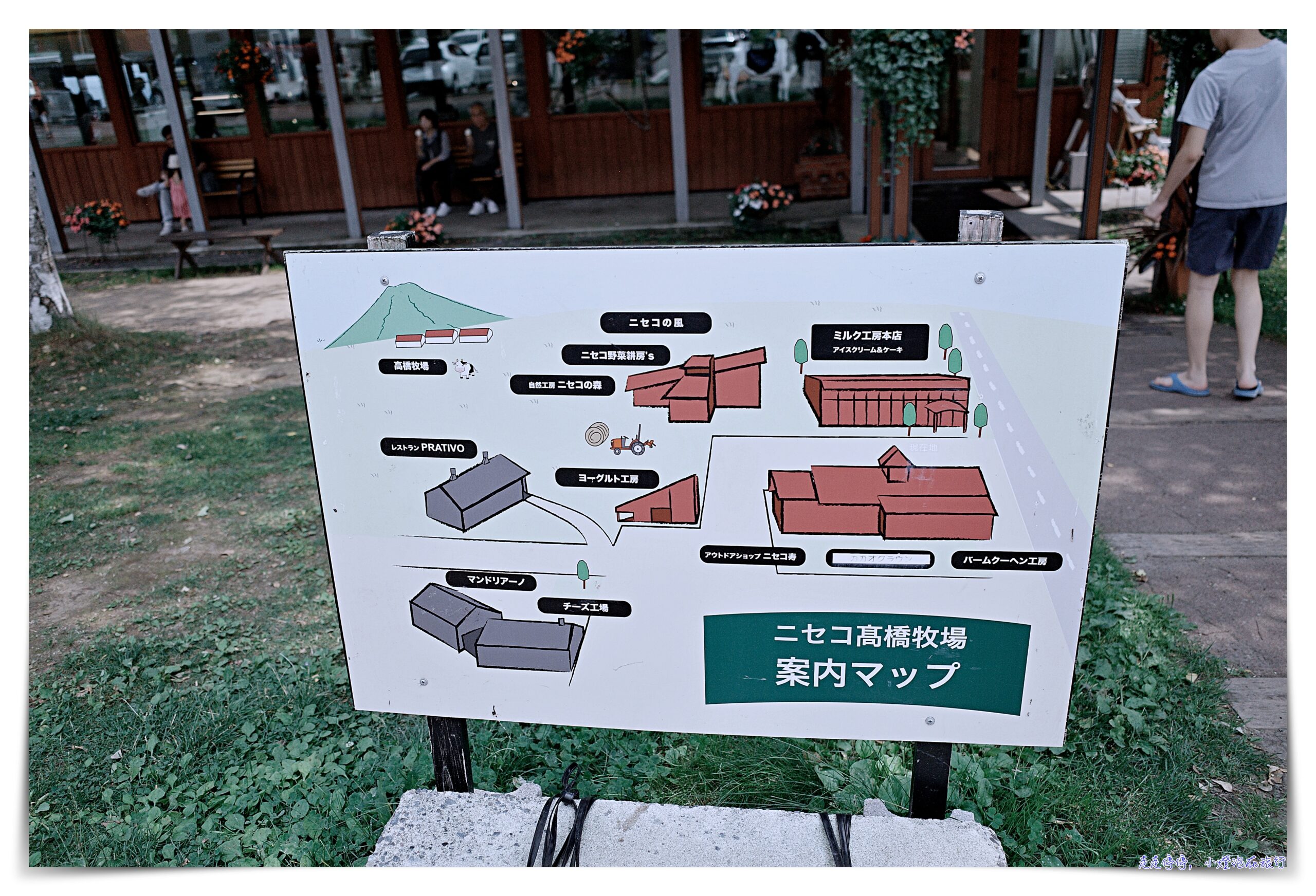 北海道二世古景點高橋牧場 牛奶工房｜午餐優酪乳喝到飽、牛奶冰淇淋超有奶味