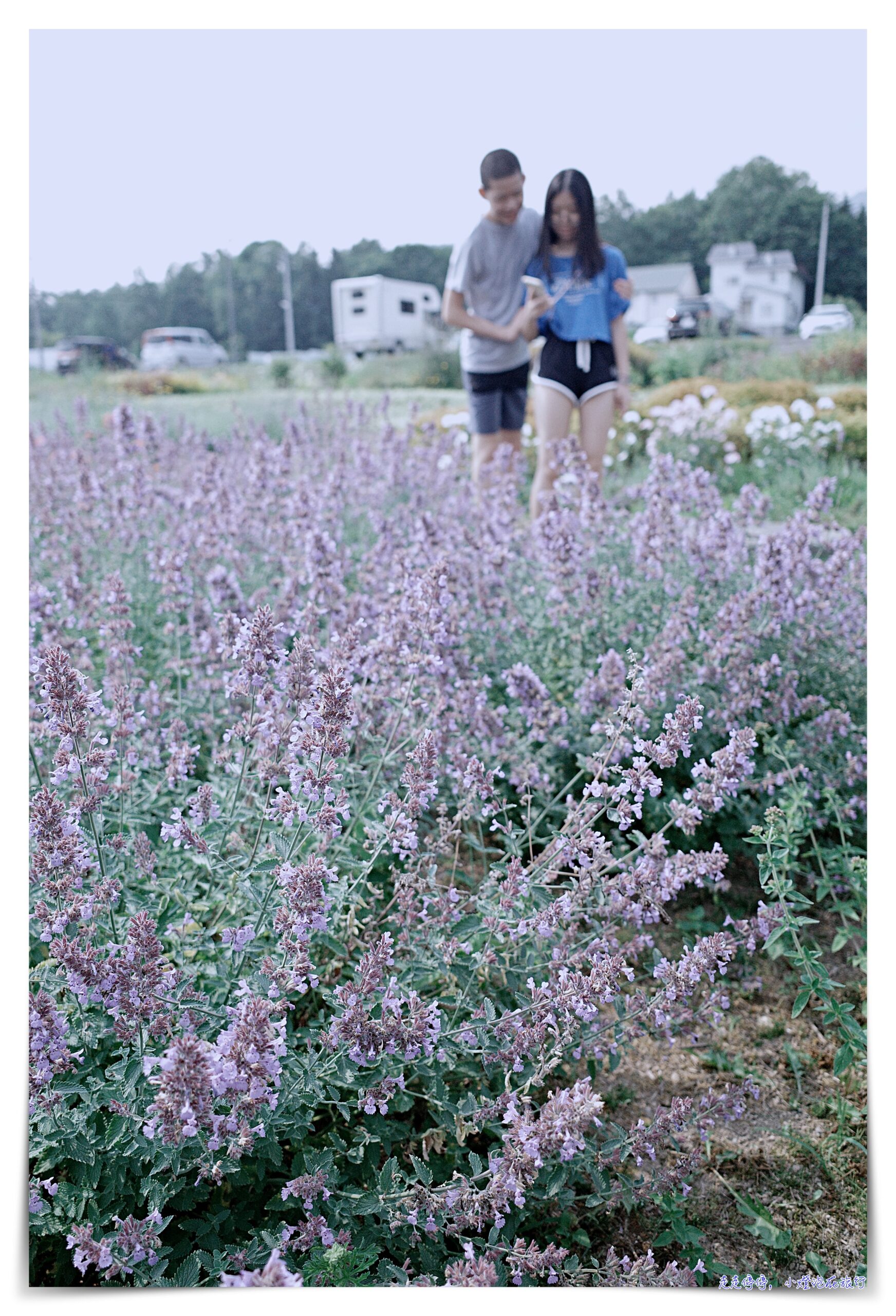 北海道二世古景點高橋牧場 牛奶工房｜午餐優酪乳喝到飽、牛奶冰淇淋超有奶味