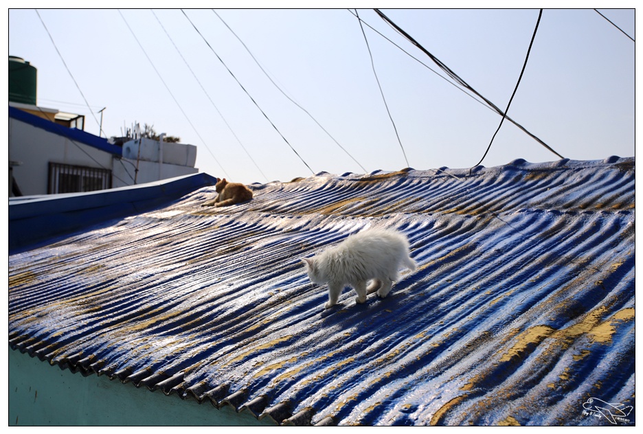 釜山超人氣景點|甘川洞文化村Gamcheon culture village。走一趟藝術村、來一趟與自己的浪漫旅行～完整走跳攻略～