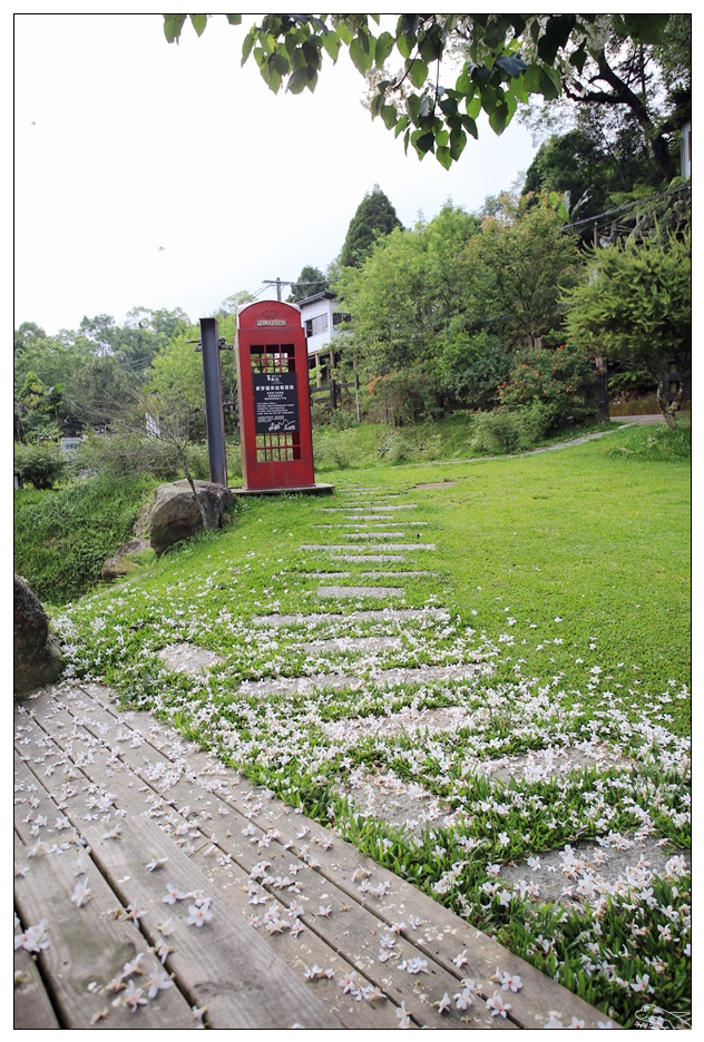 菓風丘上行館・菓風麥芽工房|新竹螢火蟲桐花親子民宿・打開門就有螢火蟲・生態環境美好的大自然寧靜住宿～五指山踏青～