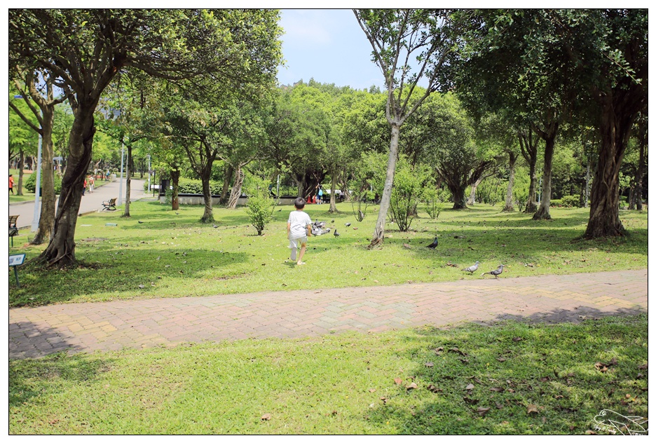 全民瘋野餐｜帶孩子走一趟草地、生態、運動、放空都內小旅行吧～萊爾富兔丸集點送～