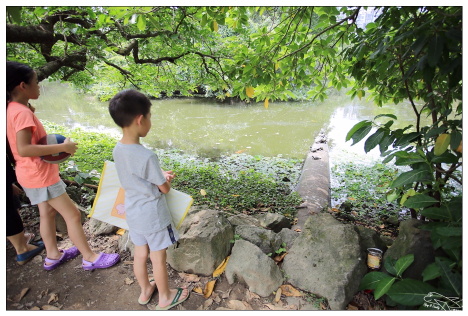 全民瘋野餐｜帶孩子走一趟草地、生態、運動、放空都內小旅行吧～萊爾富兔丸集點送～