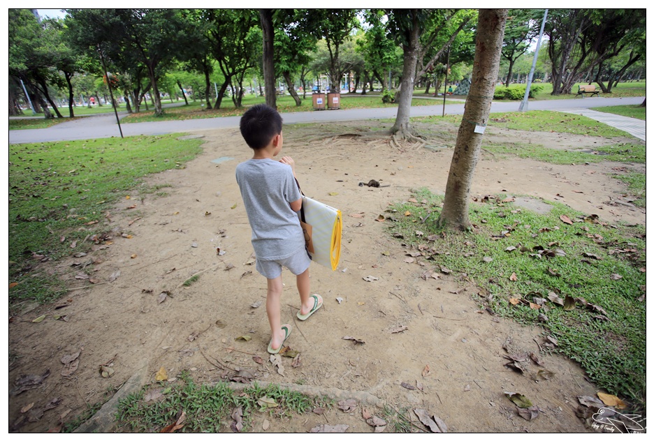 全民瘋野餐｜帶孩子走一趟草地、生態、運動、放空都內小旅行吧～萊爾富兔丸集點送～