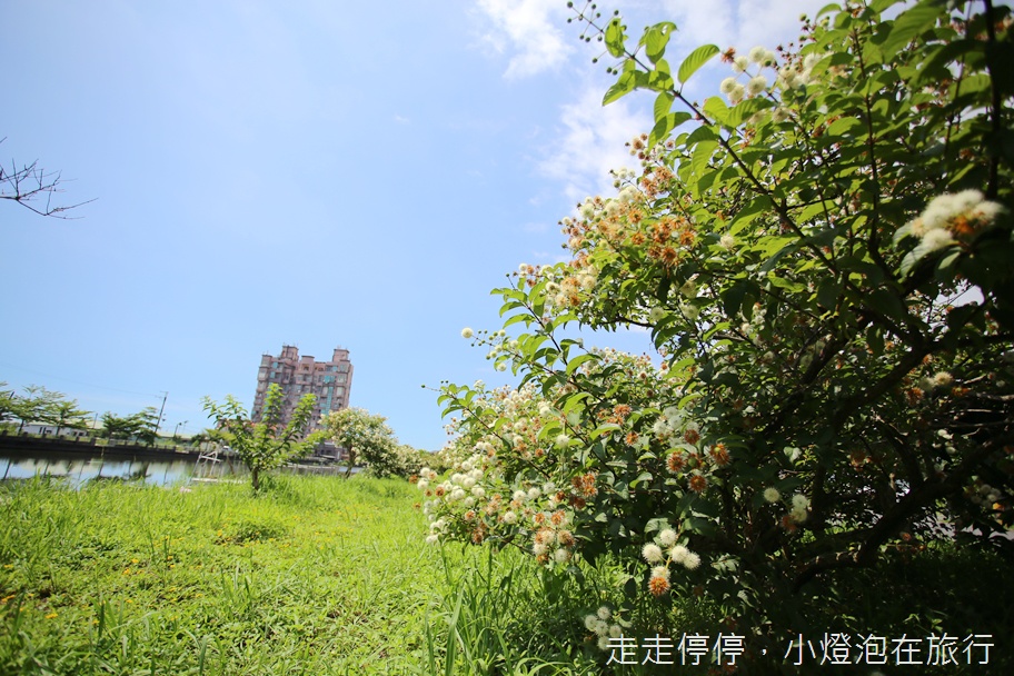 宜蘭一日農村小旅行｜你不知道的冬山・利澤親子新玩法～