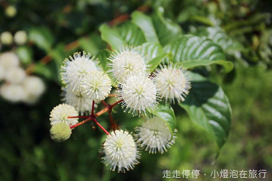 宜蘭一日農村小旅行｜你不知道的冬山・利澤親子新玩法～