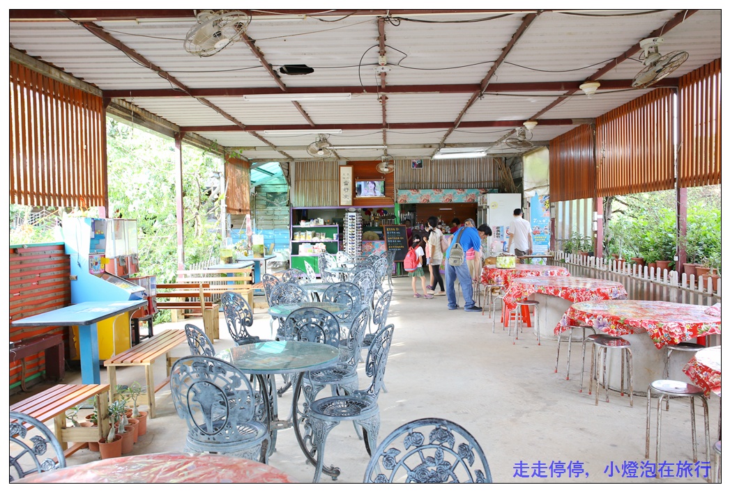 暑假桃園親子一日小旅行｜2017桃園蓮花季。蓮花生態探訪。林家古厝獨家布袋戲。